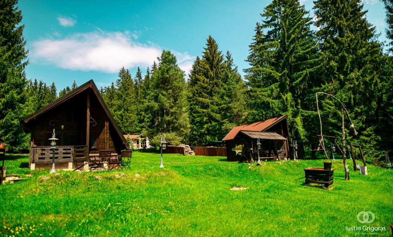 Pensiunea Vanatorul Vatra Dornei Exteriér fotografie