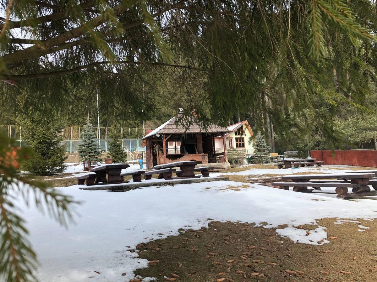 Pensiunea Vanatorul Vatra Dornei Exteriér fotografie